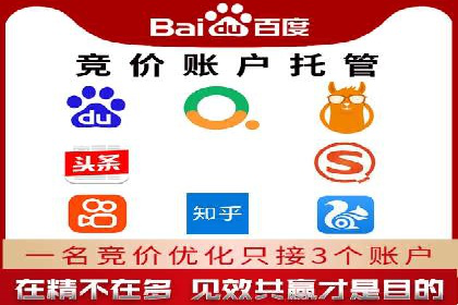 某电商平台的托管SEM竞价策略大揭秘